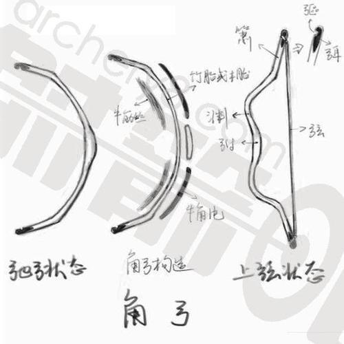 为什么弓箭箭头不是圆形