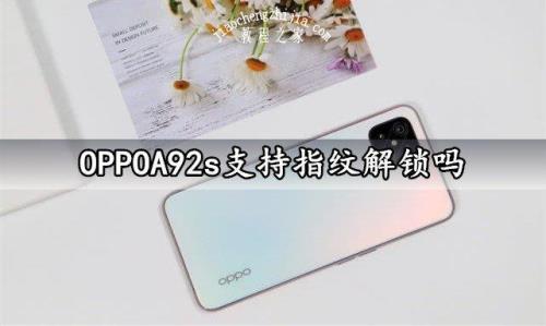 oppoa92s能给其它手机充电吗