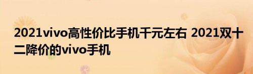 2021双十二最建议买的vivo手机