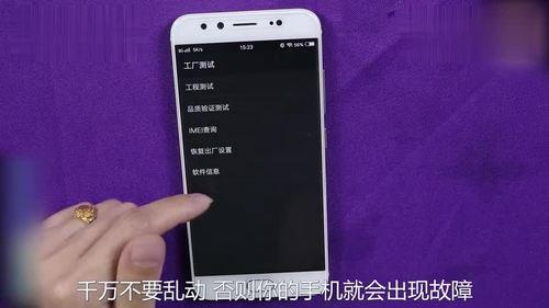 vivo手机忘了密码怎么刷机