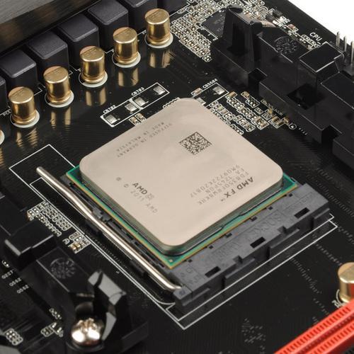 am2接口都支什么型号的cpu