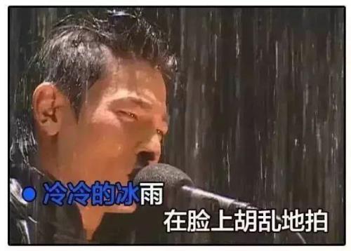 上海为啥天天下雨啊