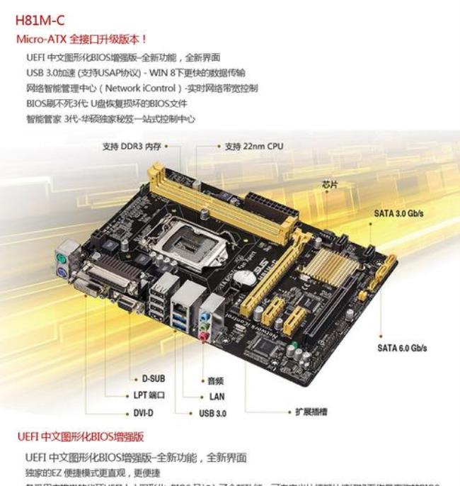 英特尔H81主板可以安装GTX1050TI么