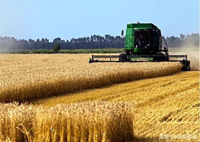 乌克兰种植小麦时间