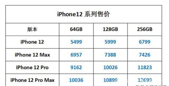 iphone 12国行型号