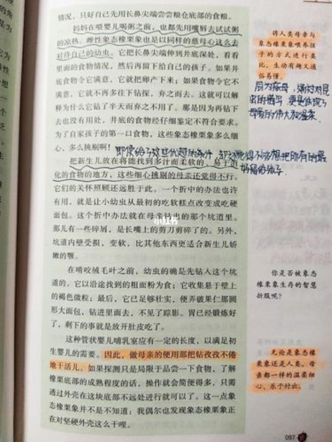 昆虫记象态橡栗象内容概括20字