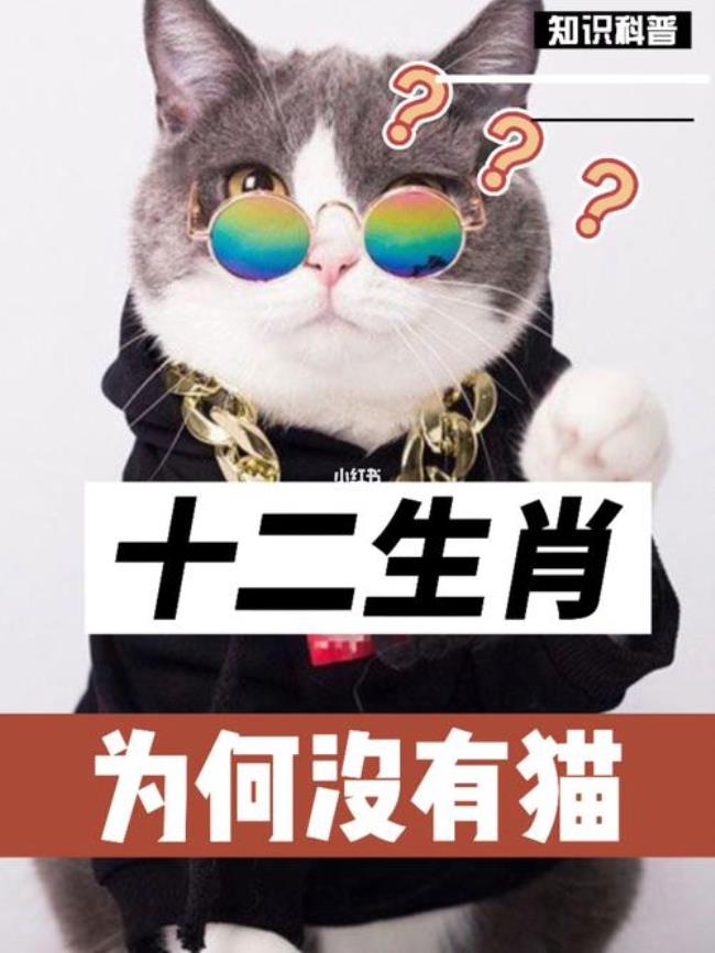 12生肖里为什么有虎没猫