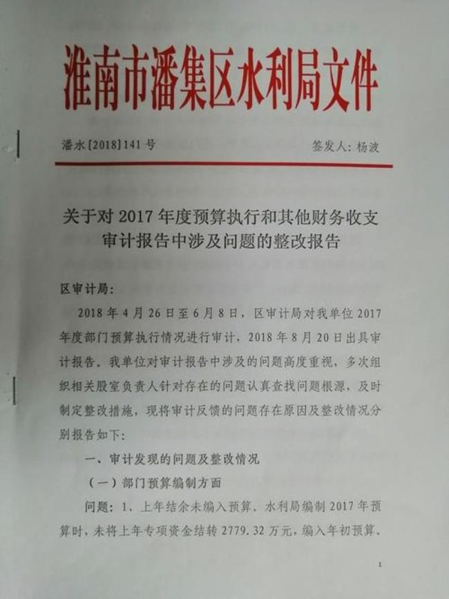 什么是预算批复情况审计