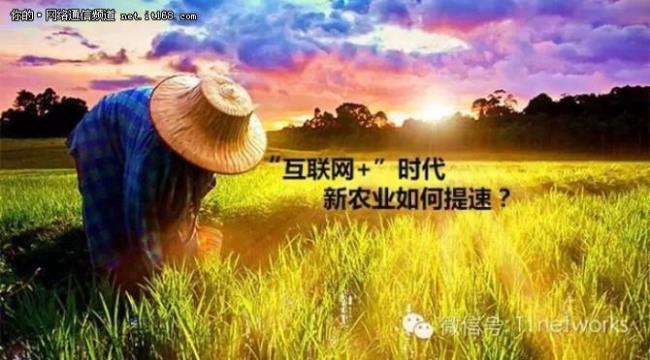 欧美农业生产2.0时代的特点