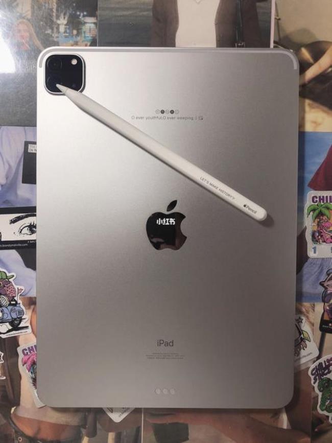 ipad pro2022是什么屏幕