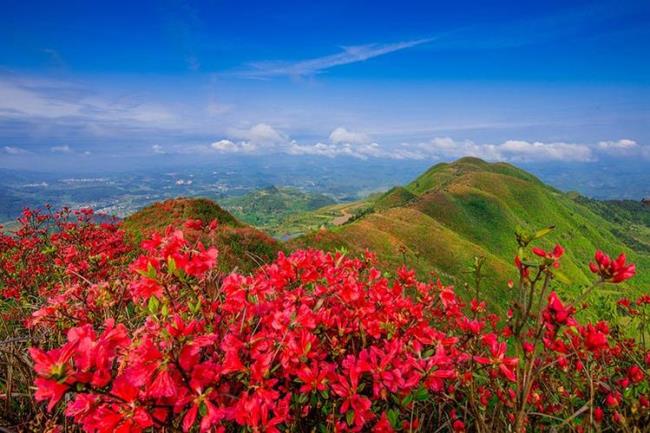 世界两大高山带