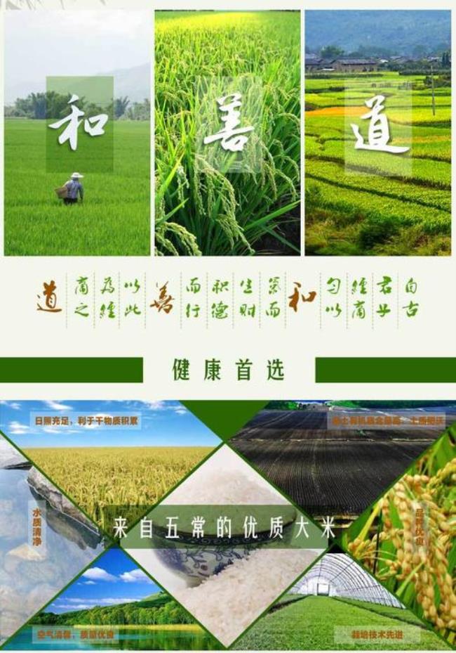 1129大米是什么级别