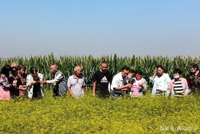 高素质农民的基本特征