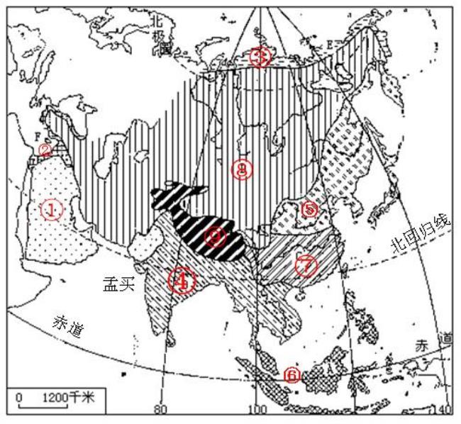 只分布在亚洲的气候类型是什么