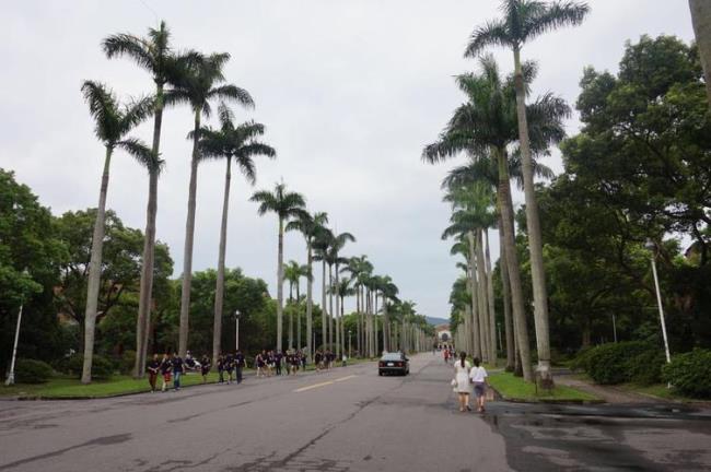 台湾大学地址怎么去台湾大学