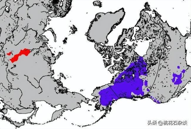 亚洲的东南部说什么语言