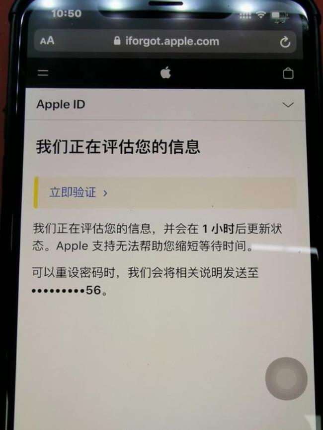 apple激活24小时后查询真伪吗