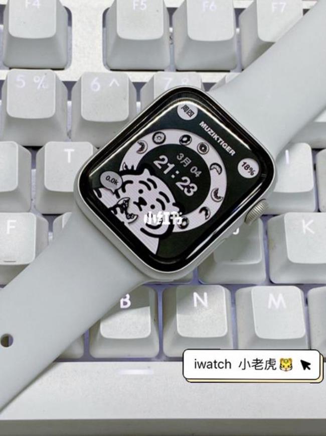 iwatch表冠是什么