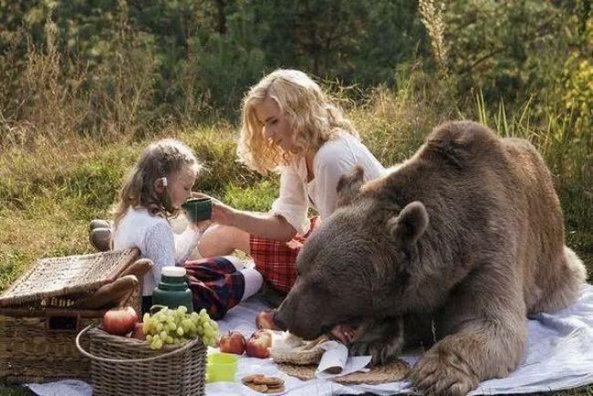为什么俄罗斯人可以养棕熊