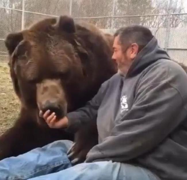 俄罗斯为什么称之为熊