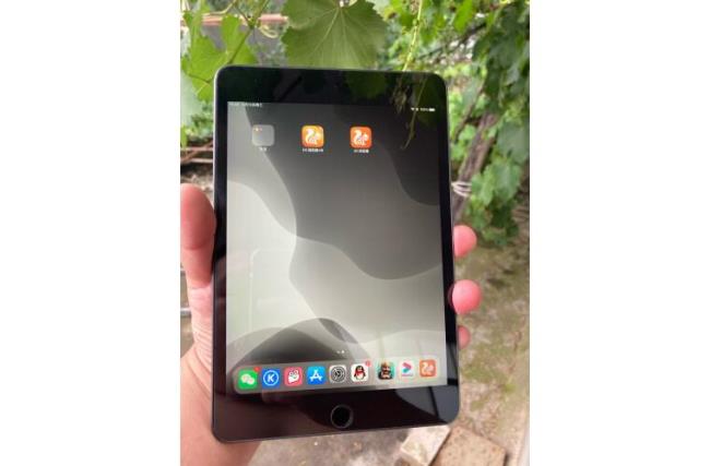 ipad mini5 a12是满血版吗