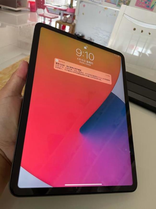 ipad pro 11是什么屏幕