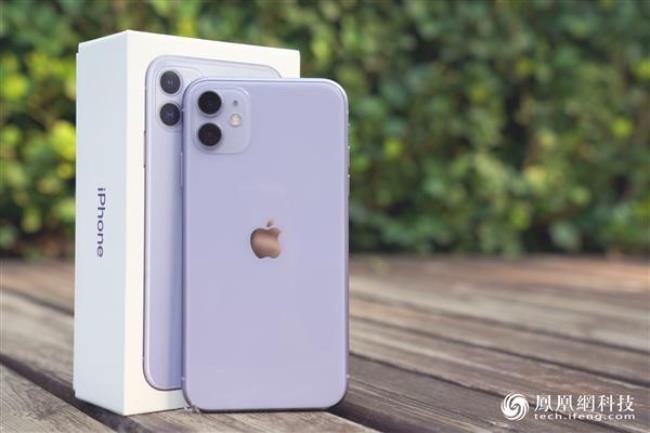 iphone11和13的屏幕一样大吗