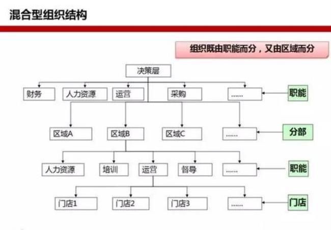 以权以分权为主的组织结构形式是