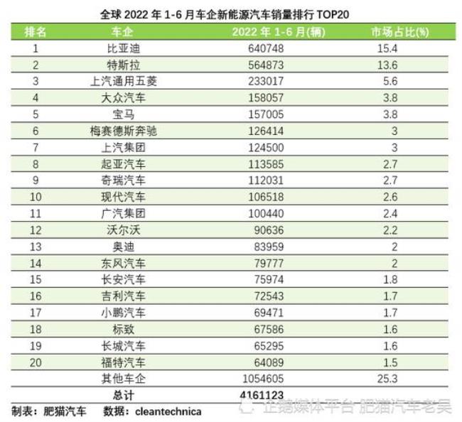 2022新能源汽车销量排名