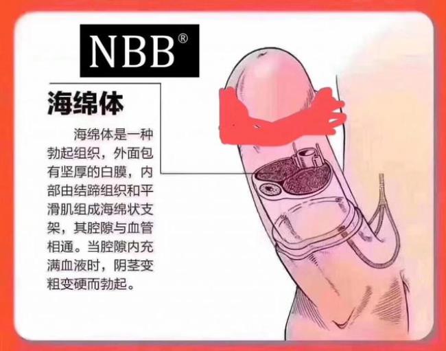 nbb是什么意思