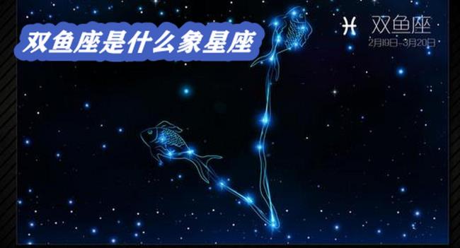 牛马座是什么星座