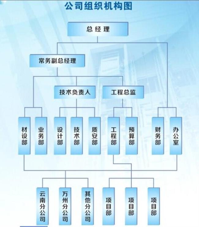 企业组织架构的介绍