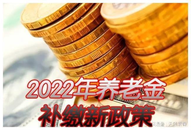 2022年养老金怎么调整