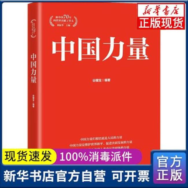 中国力量是指什么九年级政治