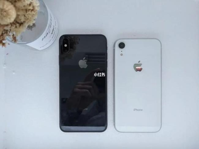 iphonexr和xs大小对比