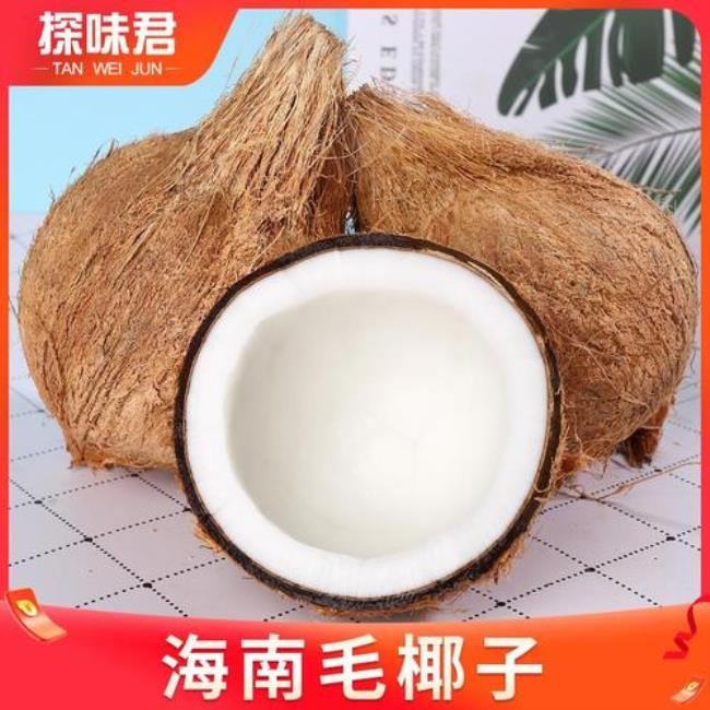 椰子是哪国的品牌