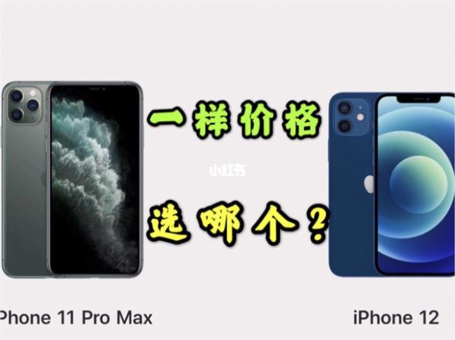 12max和13max选哪个价格