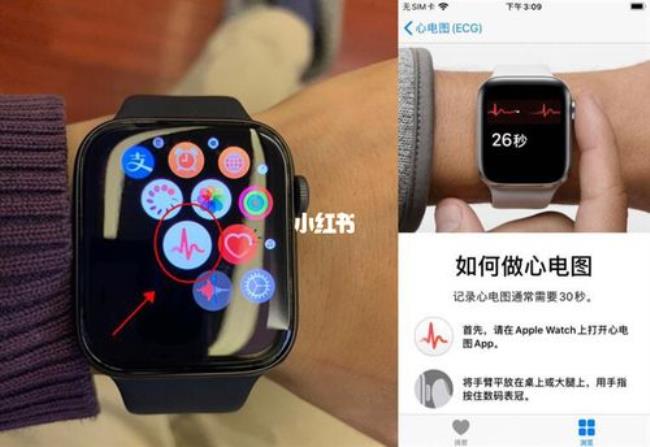 apple watch se有心电图功能吗