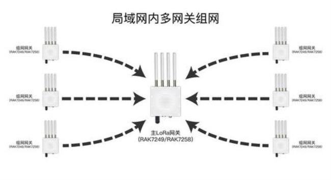 关于局域网与域的区别