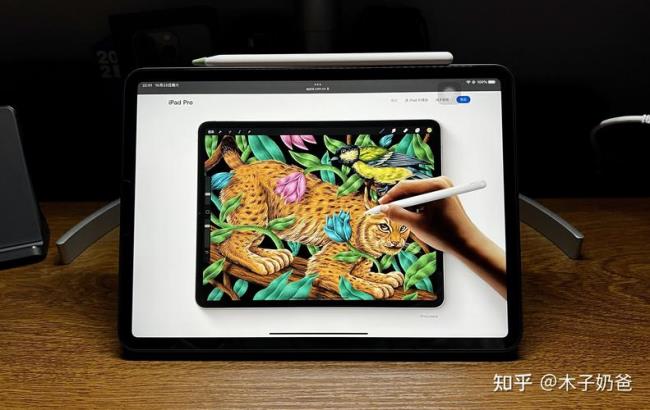 ipad 画画买什么型号