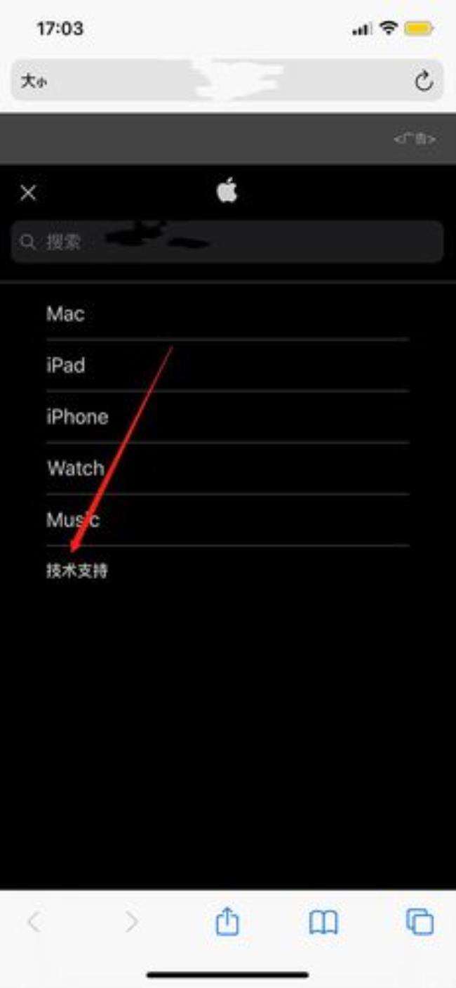 苹果怎么在线联系技术