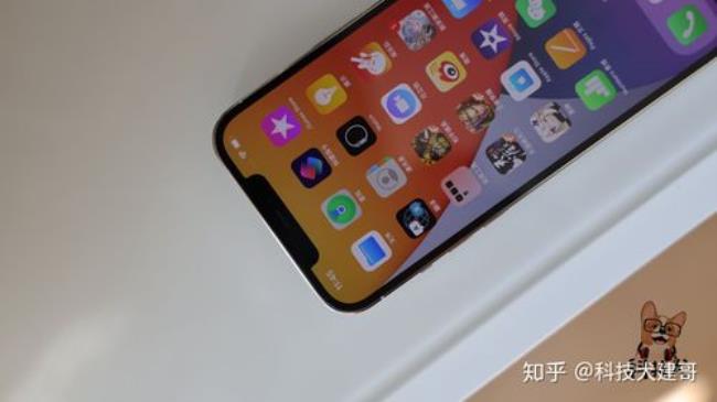 iphone 12 pro max续航和13对比