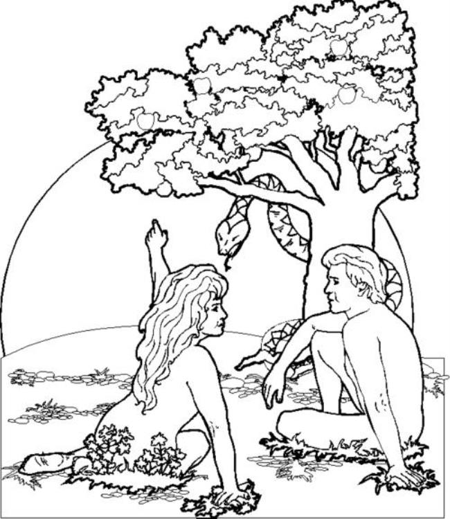 亚当夏娃摘下苹果的故事