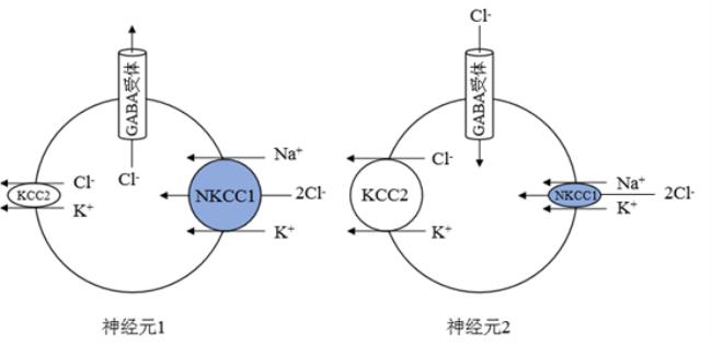 英语里的GAGB是什么意思