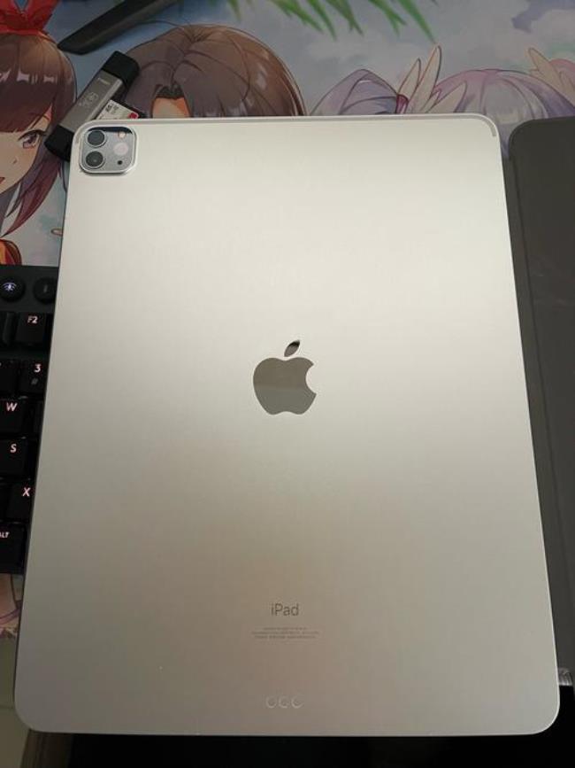 ipadpro12.9和11区别