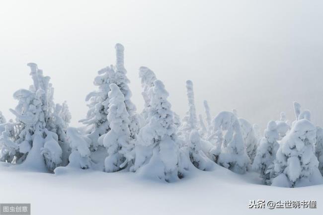 描写北方雪景诗句