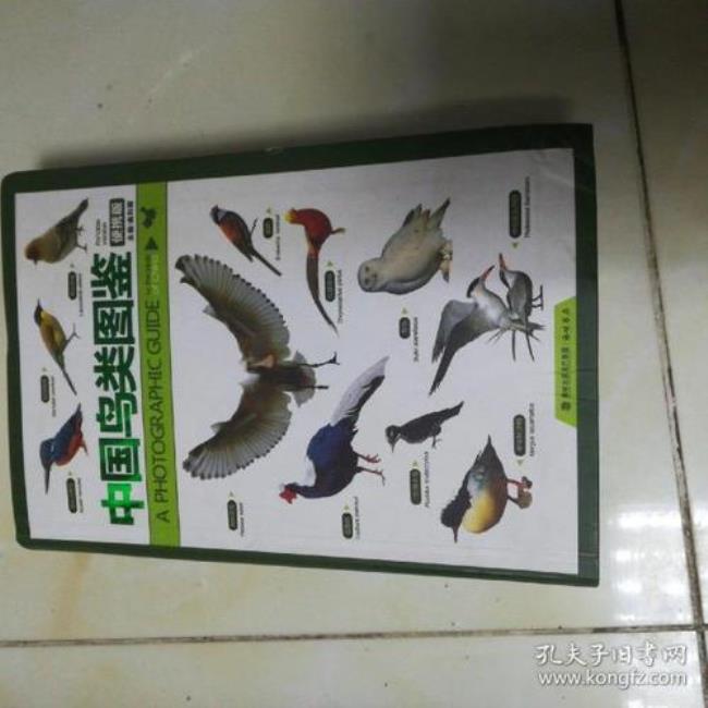 中国鸟类文化赏析论文