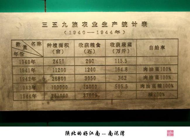 1941年3月南泥湾运动谁引导的