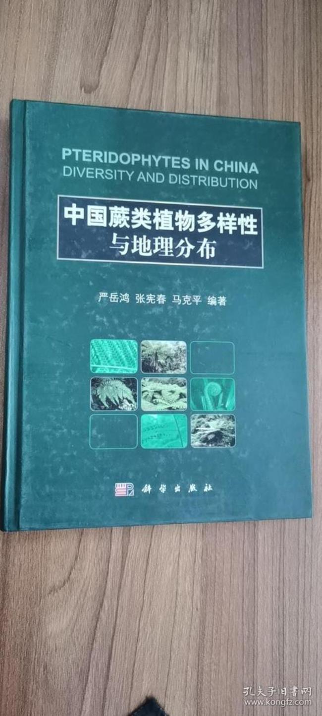 中国植物有什么地理特征