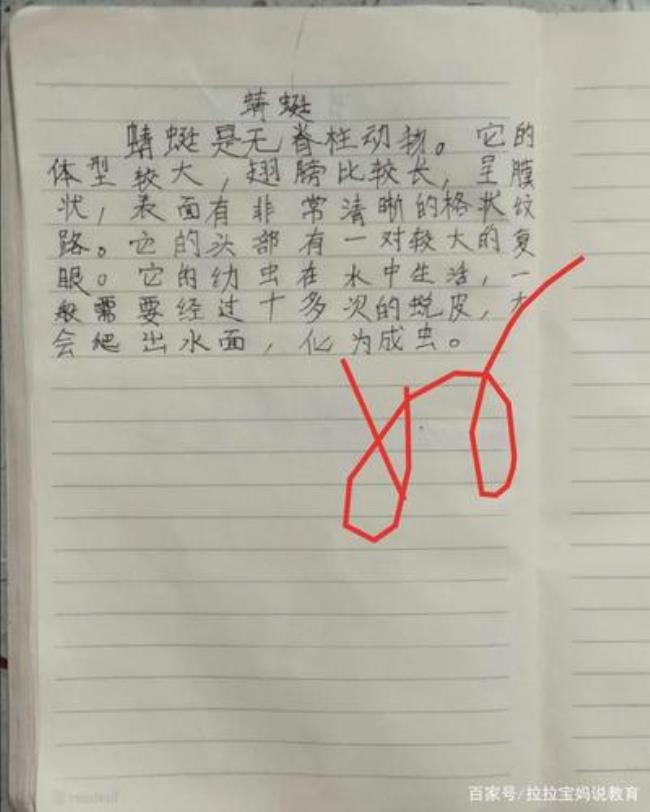 昆虫备忘录仿写蝴蝶30字